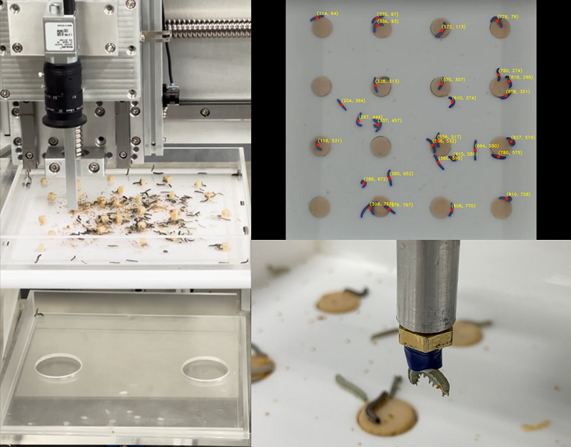 開啟本土病毒產業新篇章